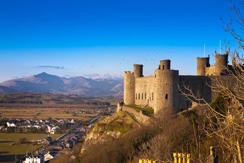 Castle